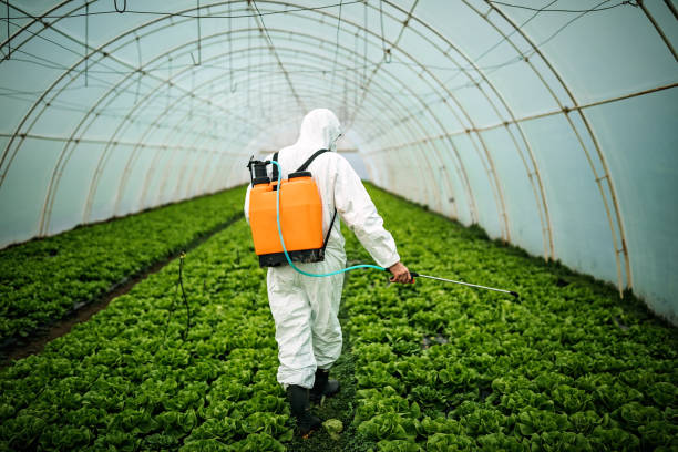 Best Residential Pest Control  in Fort Meade, MD