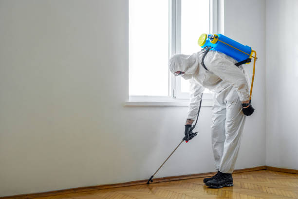Best Pest Inspection Near Me  in Fort Meade, MD