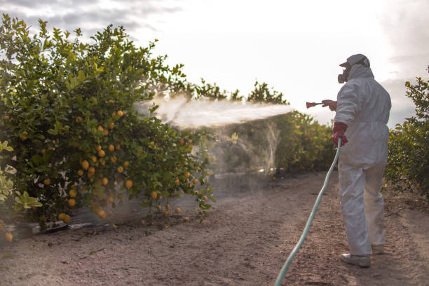  Fort Meade, MD Pest Control Pros