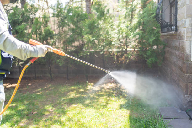 Best Rat Extermination Near Me  in Fort Meade, MD