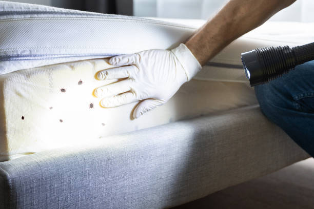 Best Commercial Pest Control Services  in Fort Meade, MD