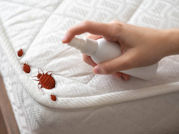 Best Pest Removal Services  in Fort Meade, MD