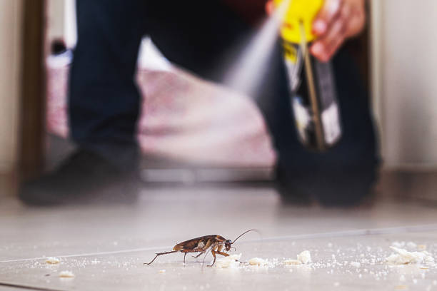Best Pest Control Treatment  in Fort Meade, MD