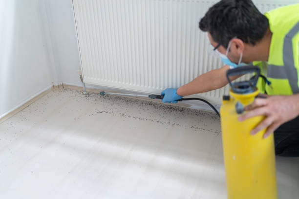 Best Mosquito Control Services  in Fort Meade, MD