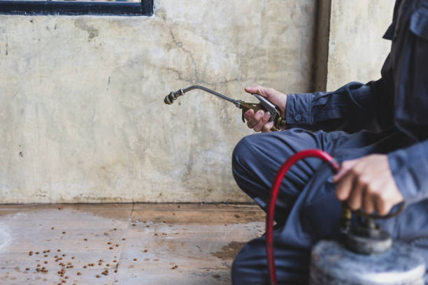 Best Pest Removal Services  in Fort Meade, MD